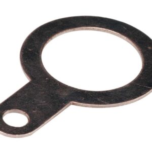 Cabac BRASS EARTH TAG 32MM WIDE ET32