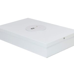 Bardic PREMIUM EMERG DOWNLIGHT SINGLE SM LG1LP/SM