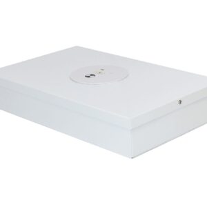 Bardic PREMIUM EMERG DOWNLIGHT TWIN SM LG2LP/SM