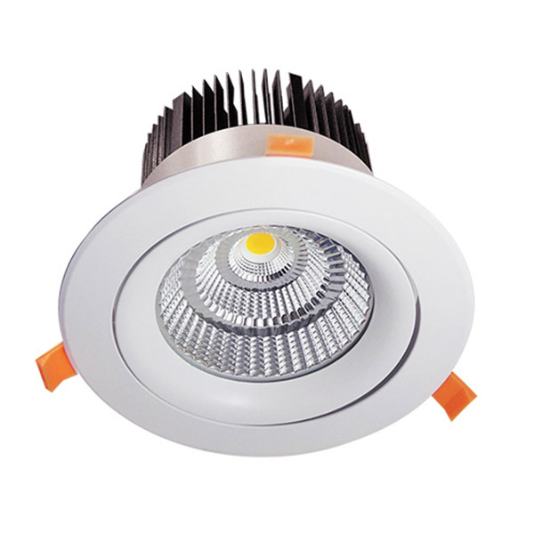 ENSA 35W Commercial Adjustable Dimmable LED Downlight (3000K) LDL-BD35-AW