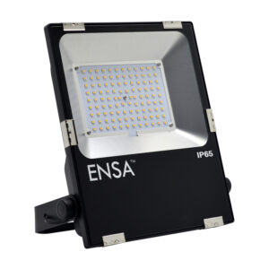 ENSA Professional 50W LED Flood Light (5000K) LFL-B50-C2