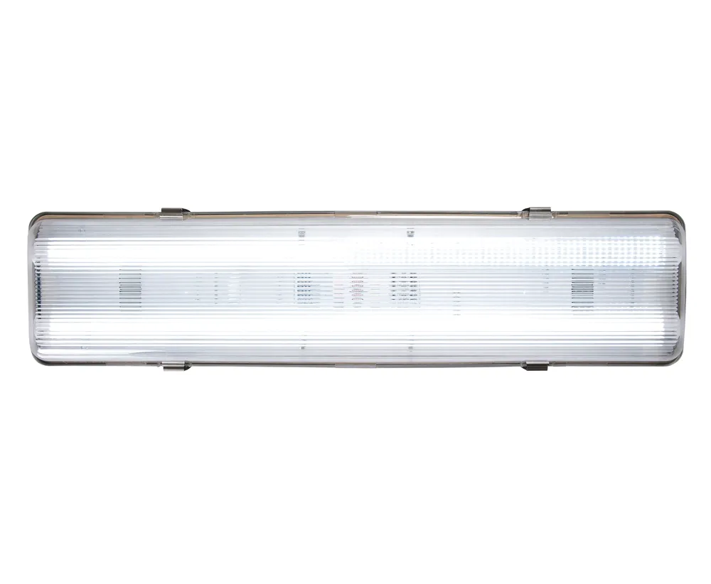BARDIC NON-EMERGENCY BATTEN WP 2X 9W 600MM LB22WP