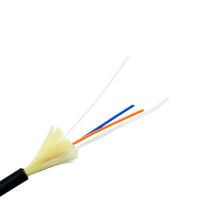 2F Indoor/Outdoor Riser Cable SM Black