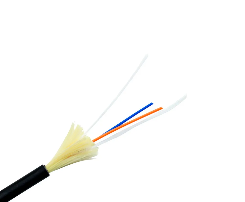 2F Indoor/Outdoor Riser Cable SM Black