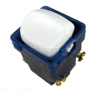 Transco Double Pole Switch 10a SMD