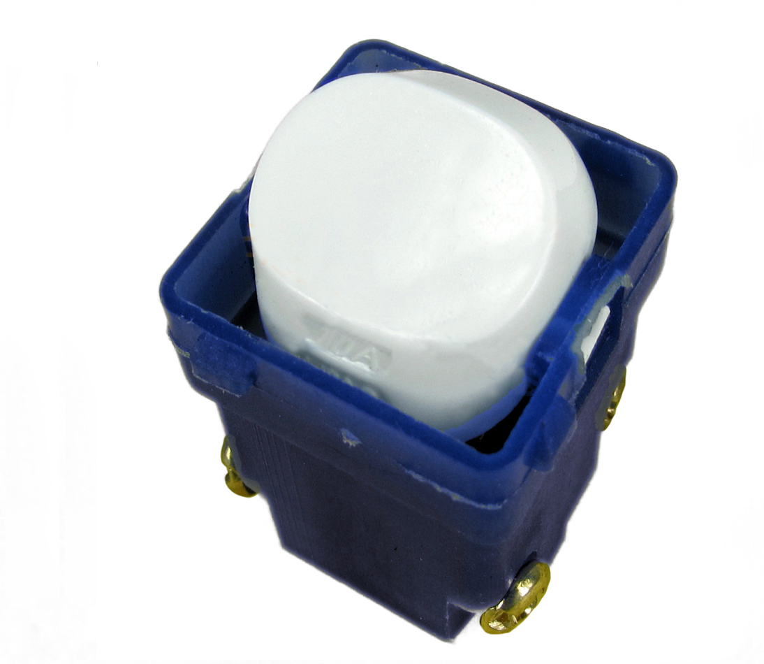 ransco Double Pole Switch 10a Wafer SMDW