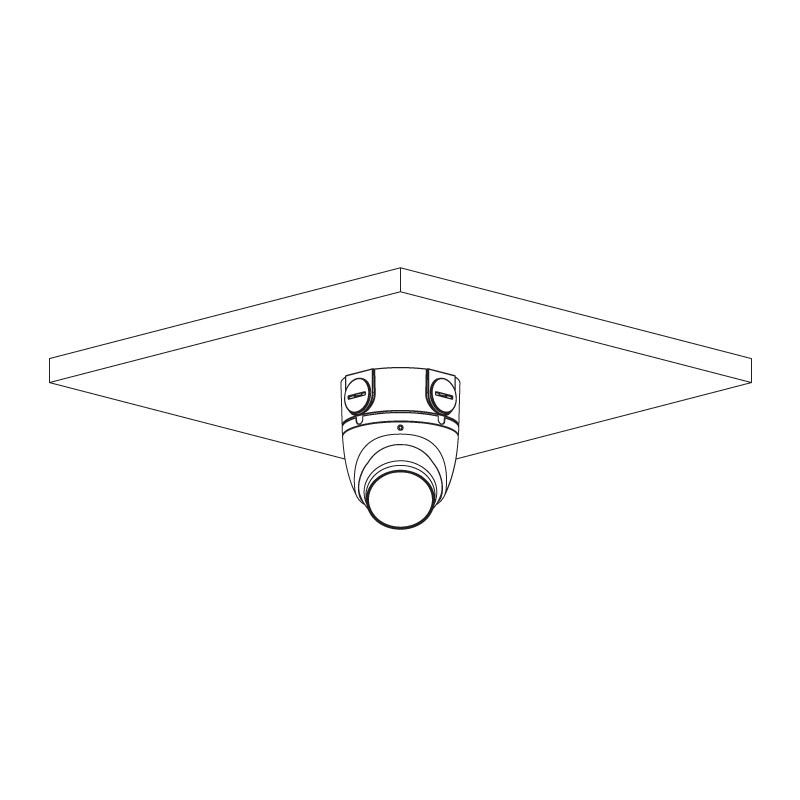 VSCVI-2DIRG_box