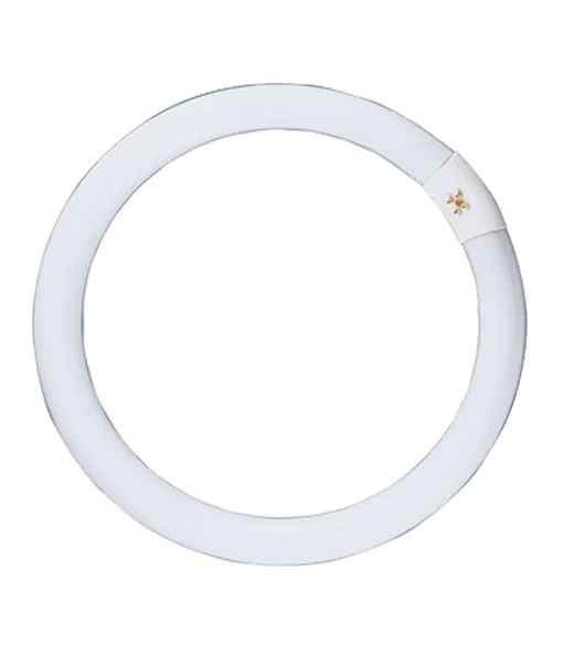 CLA T9 Circular Fluorescent Globes