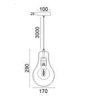CLA CONTOUR: Interior Black Wire Pear Shape Pendant Light