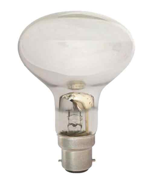 CLA Reflector Halogen Globes - Image 2