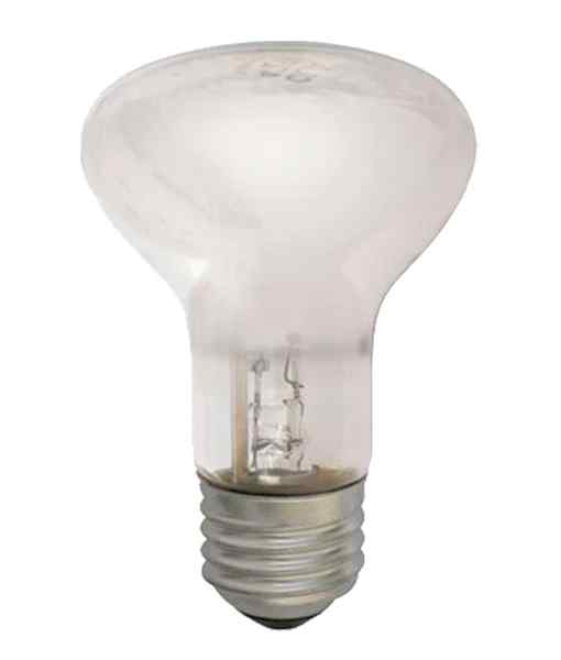 CLA Reflector Halogen Globes - Image 3