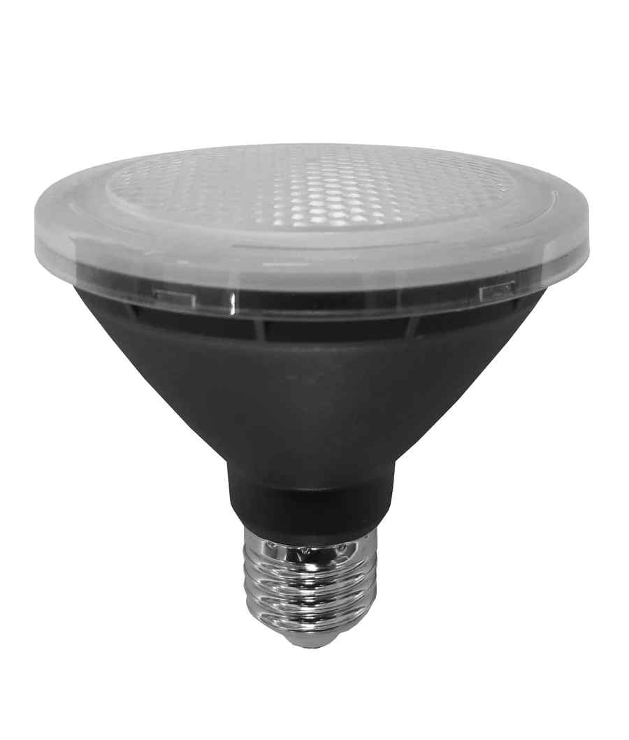 CLA PAR30 LED Globe (10W)