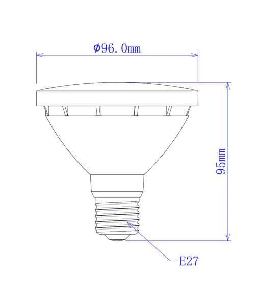 CLA PAR30 LED Globe (10W) - Image 2
