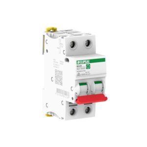 Clipsal 100 Amp 2 Pole Main Switch