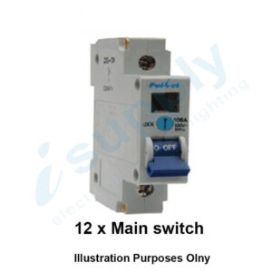 12 x 1 Pole Main Switch 80 Amp  80a  MCB